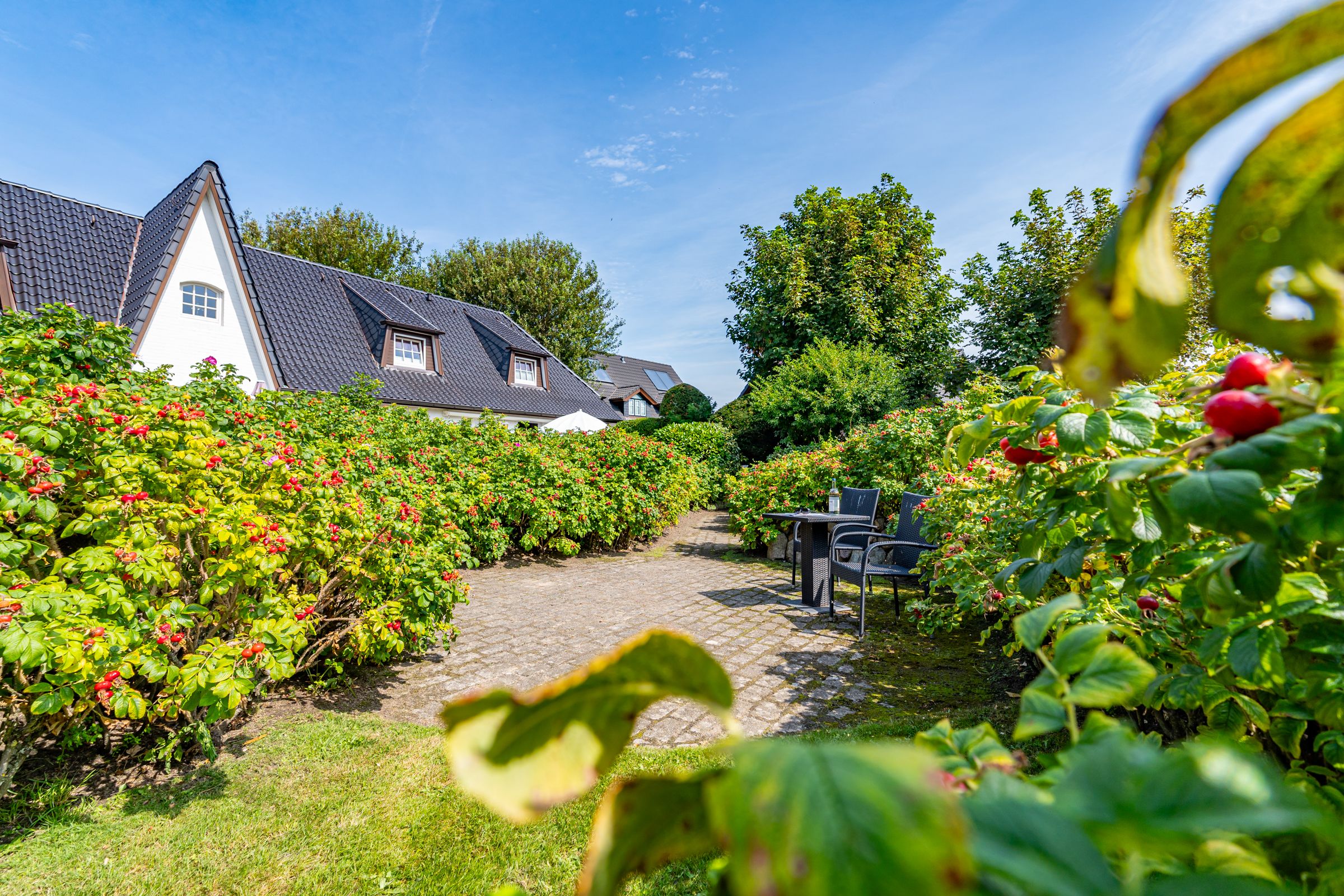 Büsche, Tisch mit zwei Stühlen